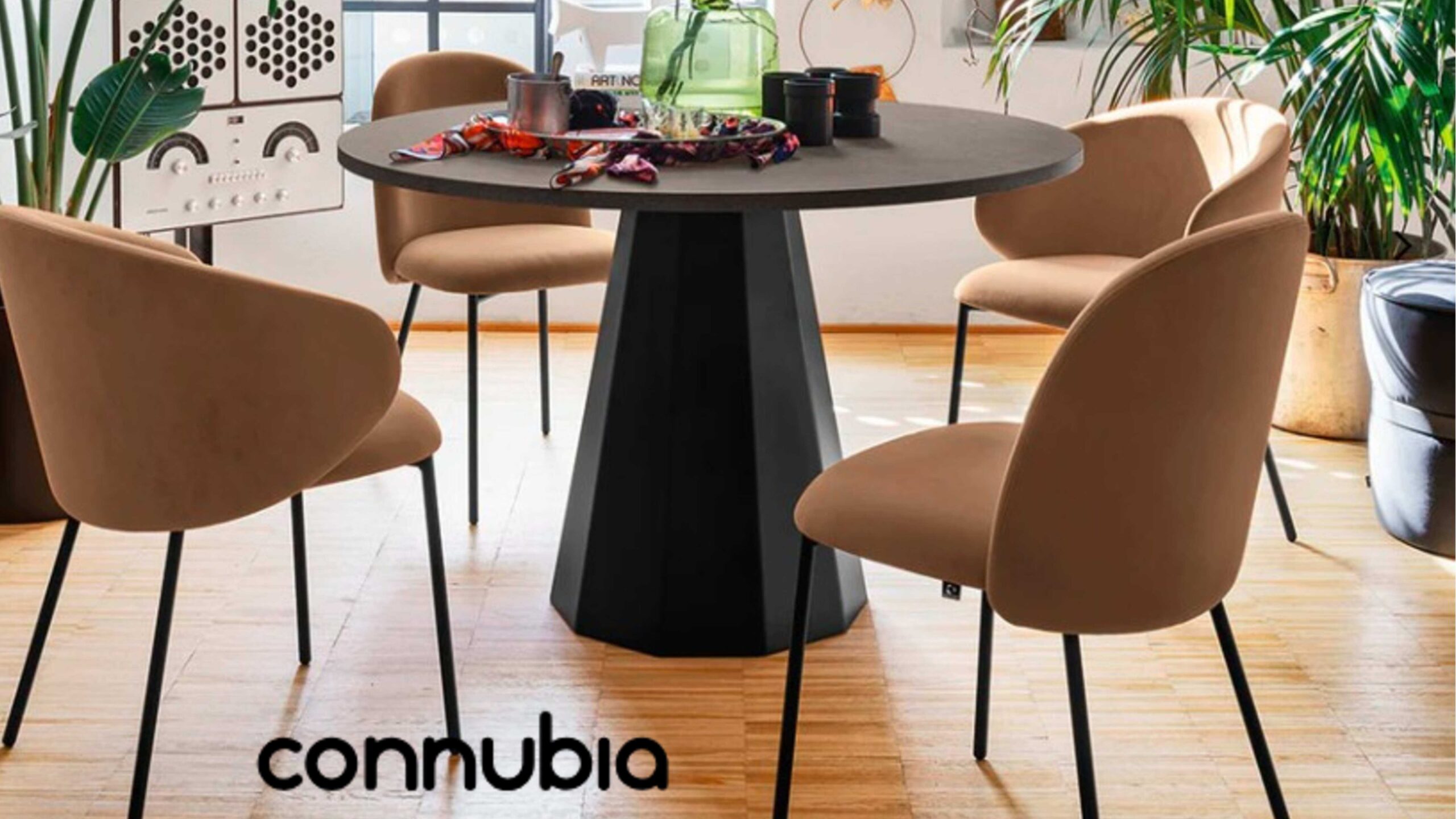 Connubia